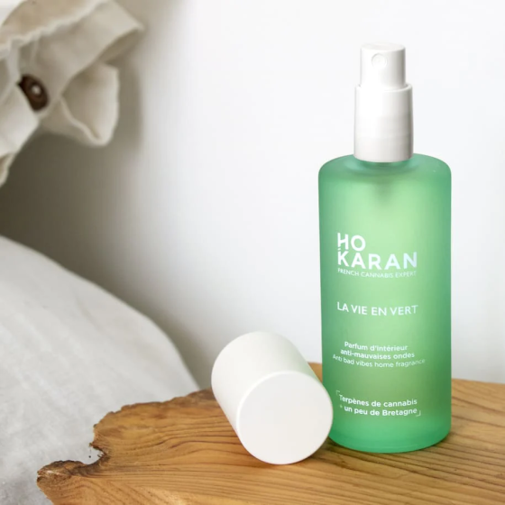 spray d'interieur ho karan la vie en vert
