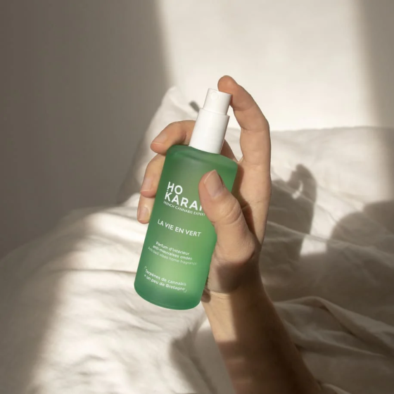 la_vie_en_vert_ho_karan_spray_interieur